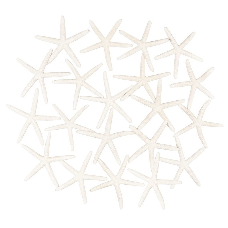 Jangostor 20 PCS Starfish, 2.5" to 4" Natural Seashells Starfish Star Fish Shells Decorations White Starfish Ornaments Perfect for Wedding Beach Theme Party Home Decorations, DIY Crafts, Fish Tank - Image 2